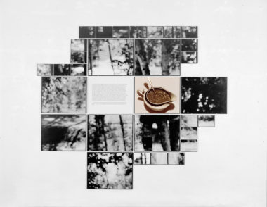 A Taste Of Honey Jochen Gerz